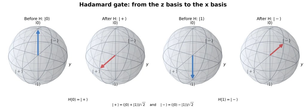 Bloch spheres showing the Hadamard gate mapping basis states to superposition states